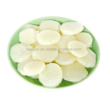 Vegetable Canned Water Chestnut with Best Price